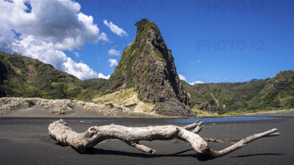 Landscape in New Zealand with sandy beach. Karekare Beach and The Watchman Rock. Karekare, Waitakere Ranges, West Auckland, New Zealand