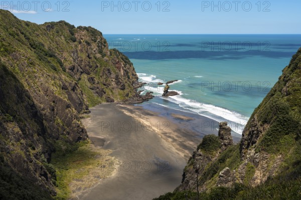 Landscape in New Zealand with sea and sandy beach. View of Mercer Bay. Mercer Bay Loop Walk hiking trail. Mercer Bay, Waitakere Ranges, West Auckland, New Zealand