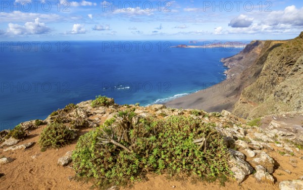 View from the Castillejo viewpoint from the Risco de Famara cliffs to the coast and the sea with the Famara beach, Playa de Famara, Lanzarote, Canary Islands, Spain