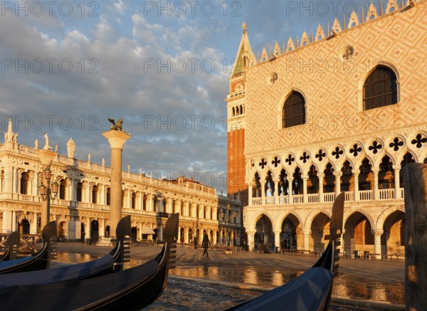 Gondolas in front of Piazzetta San Marco, sunrise, Venice, Italy