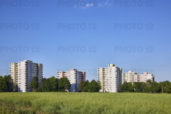View of skyscrapers on Niederhöchstädter Straße, residential buildings, trees, cultivated landscape, field, oilseed rape (Brassica napus), blue sky, cumulus clouds, Steinbach, Taunus, Hochtaunus, Hesse, Germany