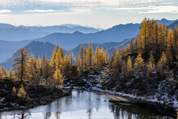 Laghetto dei Saléi mountain lake with autumnal larches (Larix), Onsernone Valley, Canton of Tessin, Switzerland