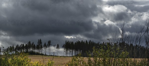 Rain clouds (Nimbostratus) over the Bavarian Forest, Upper Franconia, Bavaria, Germany