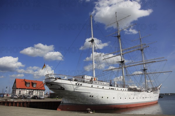 Gorch Fock, a sailing school ship rigged as a bark in the harbor, Stralsund, Vorpommern-Rügen district, Mecklenburg-Western Pomerania, Germany