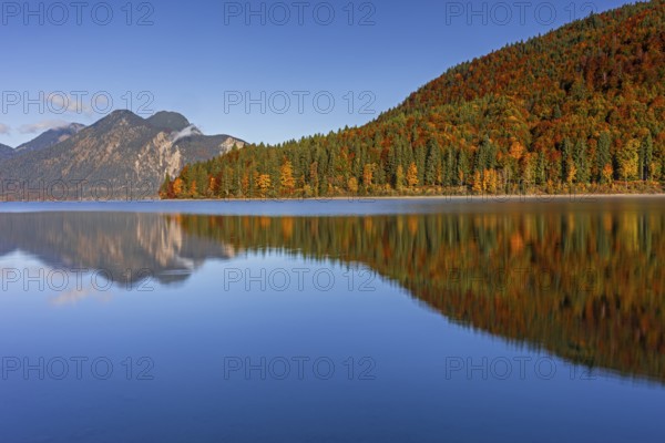 Mountain lake, mountains, morning light, reflection, autumn, autumn color, forest, shore, Walchensee, Upper Bavaria, Bavaria, Germany