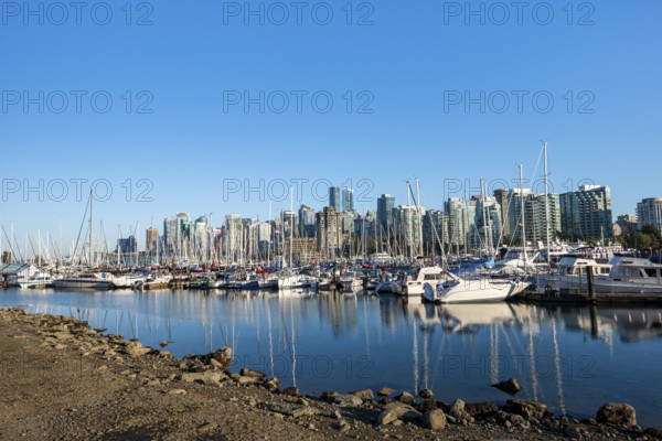 Skyscrapers yachts and sailboats in the marina, Vancouver skyline reflected in the ocean, Coal Harbour, Downton Vancouver, British Columbia, Canada