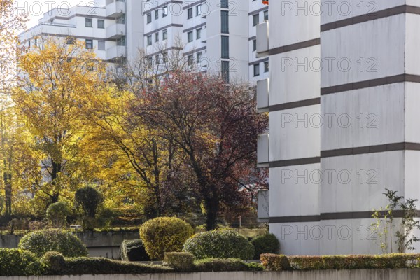 Residential complex in autumn. Colourful shrubs contrast with the dreary façade of the buildings. Stuttgart, Baden-Württemberg, Germany