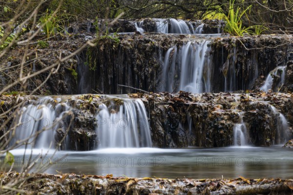 Sinterterrassen der Weißen Lauter, Bach, Water, Autumn, Donntal, Gutenberg, Swabian Jura, Baden-Württemberg, Germany