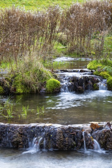 Sinterterrassen der Weißen Lauter, Bach, Water, Autumn, Donntal, Gutenberg, Swabian Jura, Baden-Württemberg, Germany