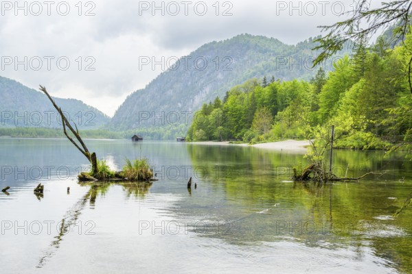 Landscape of Lake Almsee on a rainy day in spring, Salzkammergut, Austria