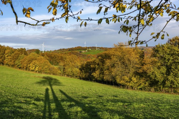 Autumn landscape in Elfringhauser Switzerland, south of Velbert-Langenberg, part of the Neanderland Steig hiking trail, Germany