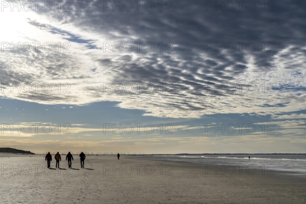 Walkers on the Wadden Sea near the East Frisian island of Spiekeroog, west of the North Sea island, at low tide, wind farm on the coast in the background, Lower Saxony, Germany