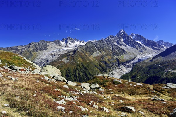From left front Glacier du Tour back Aiguilles du Tour, right Aiguille du Chardonnet, in front foothills of the Argentière Glacier, Chamonix-Mont-Blanc, Haute-Savoie, France