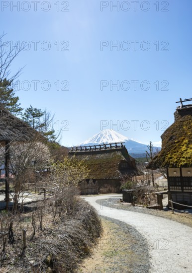 Iyashinosato open-air museum, old Japanese village with traditional houses, at the back volcano Mt. Fuji, Fujikawaguchiko, Saiko, Japón