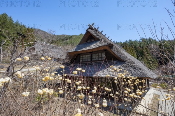 Iyashinosato open-air museum, old Japanese village with traditional houses, Fujikawaguchiko, Saiko, Japan