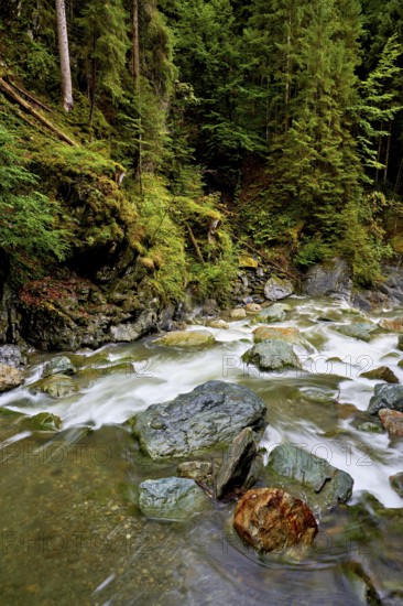 Diosaz mountain river in the gorge, Gorges de la Diosaz, Les Houches, Chamonix-Mont-Blanc, Haute-Savoie, France