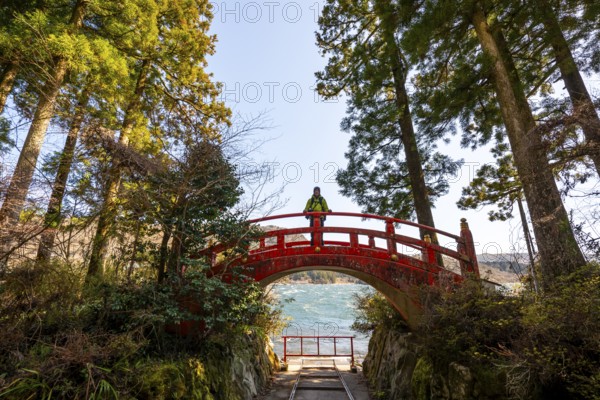 Young man walking on red bridge, path along Lake Ashi to Hakone shrine, Hakone, Japan