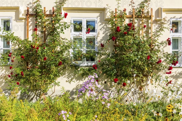 Schlossvorwerk Muskau in Muskauer Park, UNESCO World Heritage Site, Bad Muskau, Upper Lusatia, Saxony, Germany