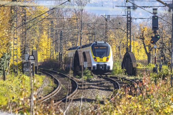 Local train on an open route in the area of Stuttgart North Station. Arched bridge and landscape in autumn. Stuttgart, Baden-Württemberg, Germany