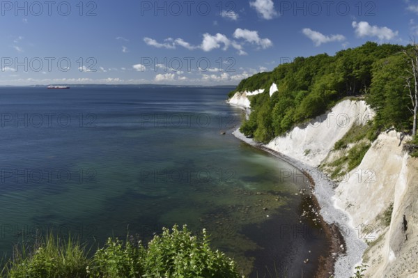 Chalk cliffs, chalk coast on the island of Rügen, Jasmund National Park, Mecklenburg-Western Pomerania, Germany