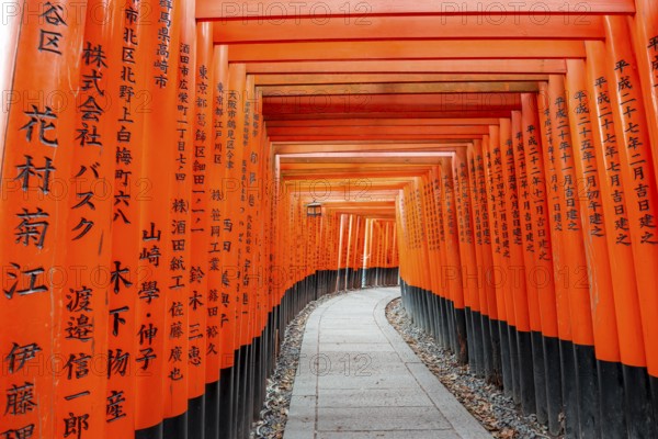 Walk through hundreds of red traditional torii gates, Fushimi Inari Taisha, Shinto Shrine, Fushimi Inari-taisha Okusha Hohaisho, Kyoto, Japan