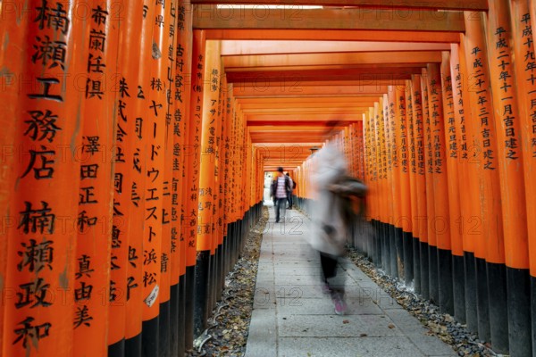 Visitors on a journey through hundreds of red traditional torii gates, Fushimi Inari-taisha, Shinto shrine, long exposure, motion blur, Fushimi Inari-taisha Okusha Hohaisho, Kyoto, Japan