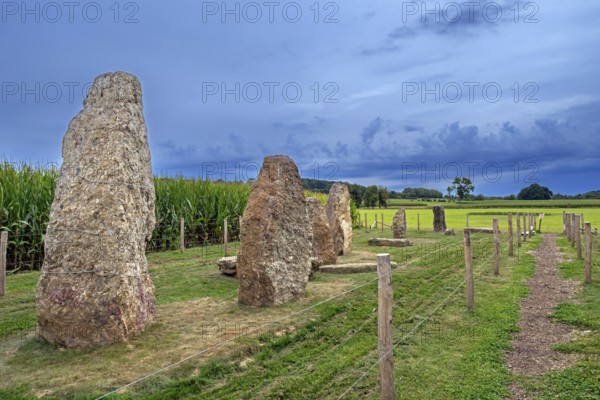 Menhirs, standing stones of conglomerate at Champ de la Longue Pierre in Wéris, Durbuy, province of Luxembourg, Belgian Ardennes, Wallonia, Belgium