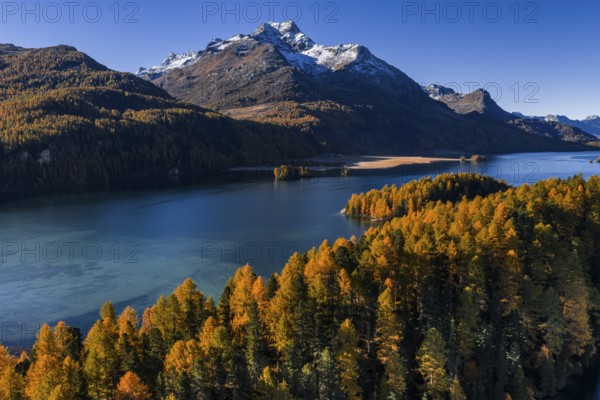 Mountain landscape, mountain lake, larch forest, autumn, autumn color, morning light, sunny, aerial view, Lake Sils, Engadin, Switzerland