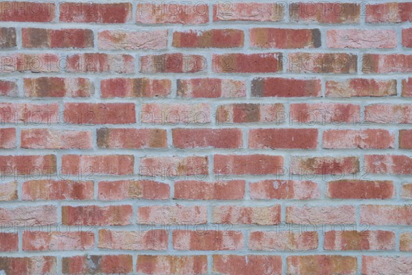A uniformly masonry red brick wall with visible texture and structure