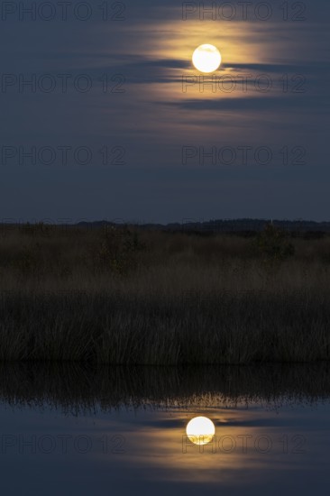 Full moon, super moon over the moor, Emsland, Lower Saxony, Germany