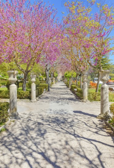 Giardino ibleo, Ragusa Ibla, Ragusa province, Sicily, Italy