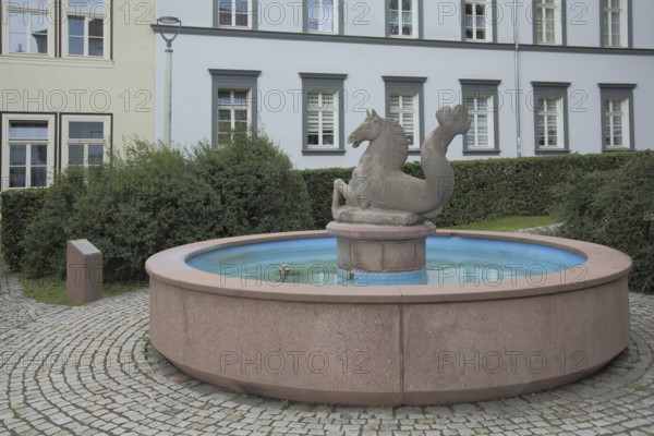 Meerpferdchenbrunnen with guinea horse, sculpture, mythical creature, horse figure, fish figure, Nordhausen, Harz, Thuringia, Germany