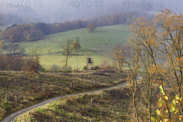 Misty autumn landscape with fields and bare trees along a path to a viewpoint, Kreuztal Siegerland