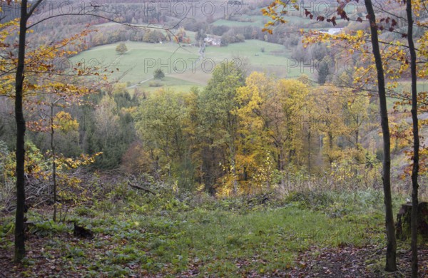 View through trees of a colorful autumn landscape with fields and forests, Kreuztal Siegerland