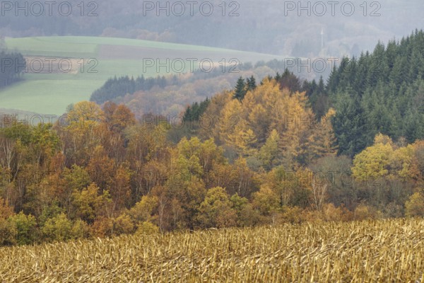 Autumn landscape with colorful trees and hills that glow in soft colors, Kreuztal Siegerland