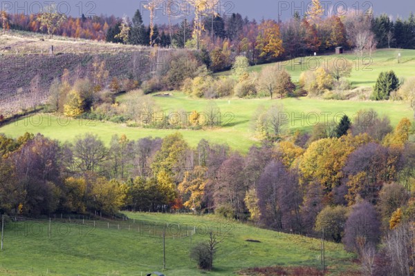 Gentle hills with colorful autumn trees and green meadows under grey skies, Kreuztal Siegerland