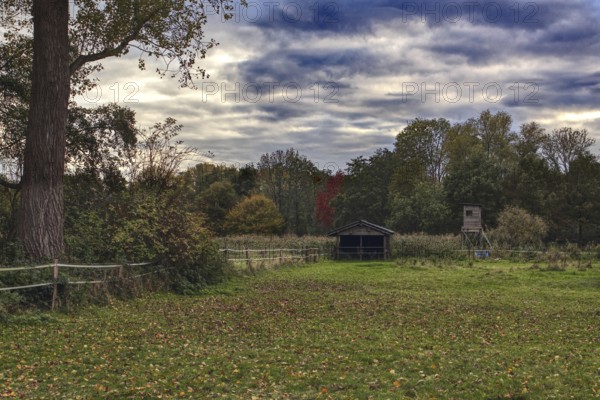 Meadow with hut and overcast sky in autumn weather, Brüggen Lower Rhine