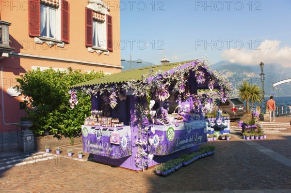 Menaggio, beautiful tourist town on the western shore of Lake Como, market with lavender products, Como province, Lombardy, Italy