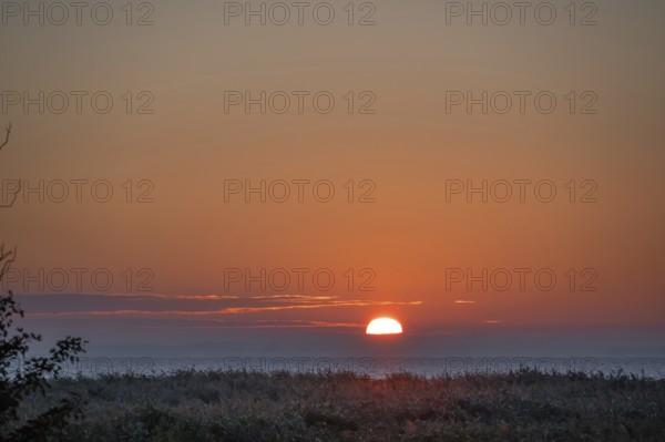 Sunrise at Bodden, Ahrenshoop, Darß, Mecklenburg-Western Pomerania, Germany