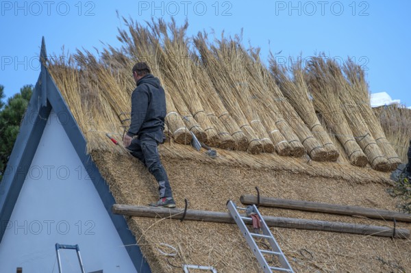 A thatched roof is covered, Wieck a. Darß, Baltic Sea, Mecklenburg-Western Pomerania, Germany