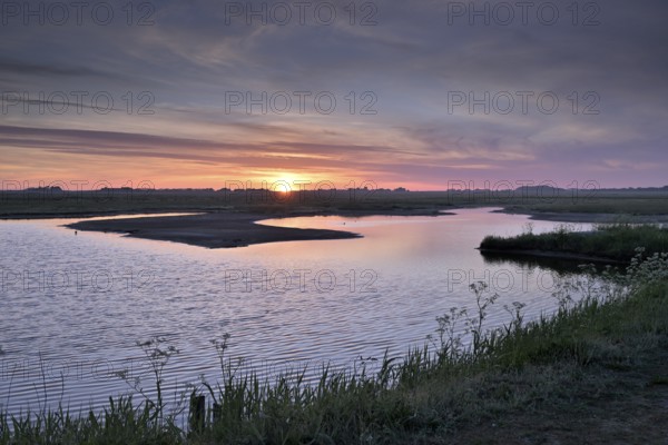 Sunrise over an artificially created wetland, Texel, North Holland, the Netherlands