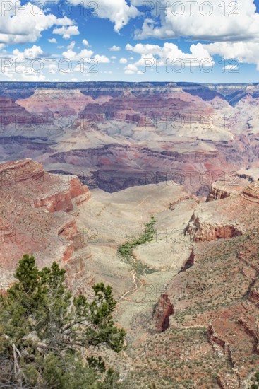 Beautiful landscape of the grand canyon, arizona