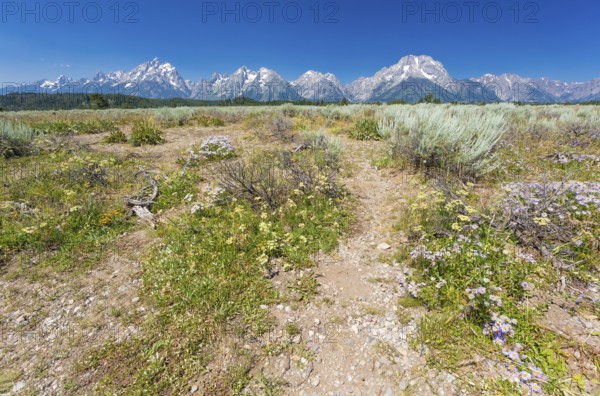 Majestic grand tetons range landscape