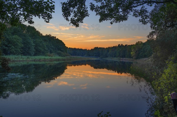 Evening light reflected in a lake, Darß, Mecklenburg-Western Pomerania, Germany