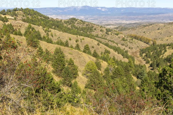 Countryside landscape view from Puerto de Sos hills south of Sos del Rey Catolico, Cinco Villas district, Zaragoza province, Aragon, Spain