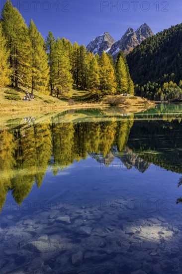 Mountain lake, reflection, mountains, larch forest, autumn discoloration, autumn, sunny, Lake Palpuogna, Engadin, Switzerland