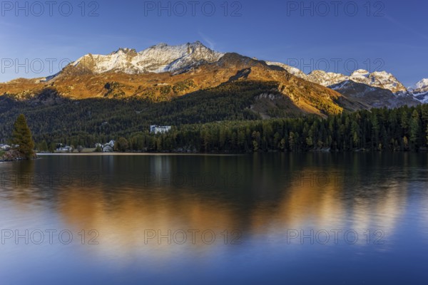 Mountains are reflected in lake, evening light, larch, autumn, autumn color, Lake Sils, Engadin, Switzerland