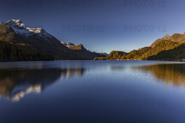 Mountain lake, reflection, mountains, larch forest, autumn discoloration, autumn, sunrise, Lake Sils, Engadin, Switzerland