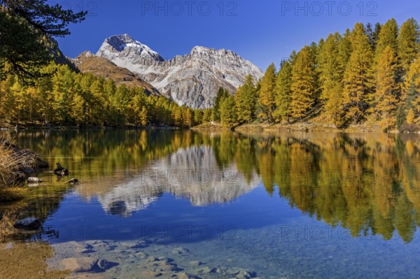 Mountain lake, reflection, mountains, larch forest, autumn discoloration, autumn, sunny, Lake Palpuogna, Engadin, Switzerland