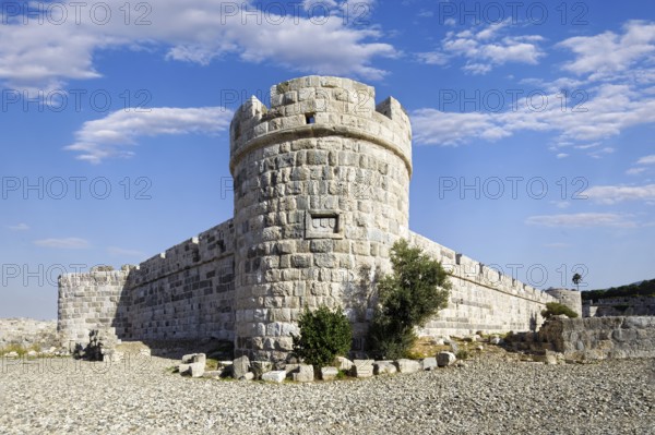 Inner fortification, olive tree, bastion, Neratzia fortress, also Nerantzia, castle, first mentioned in 1395, former fortress of the Order of St. John, today ruin, city of Kos, island of Kos, Dodecanese islands, Greece, eastern Adriatic, Mediterranean